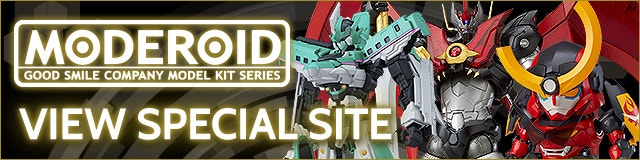 MODEROID VIEW SPECIAL SITE
