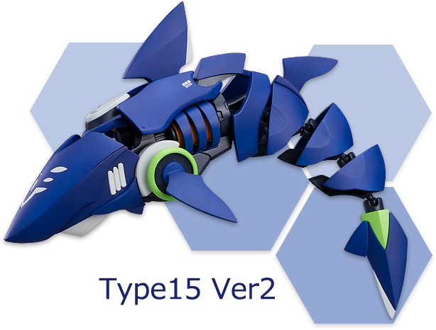 Type15 Ver2