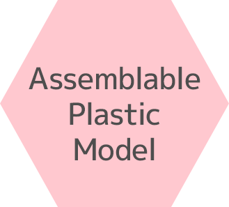 Assemblable Plastic Model